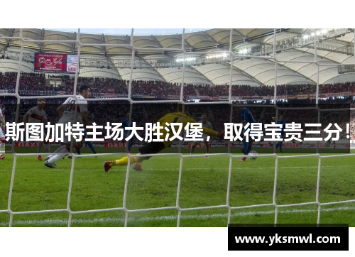斯图加特主场大胜汉堡，取得宝贵三分！